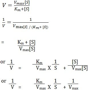 lineeaver burk plot